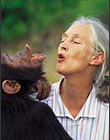 Jane Goodall