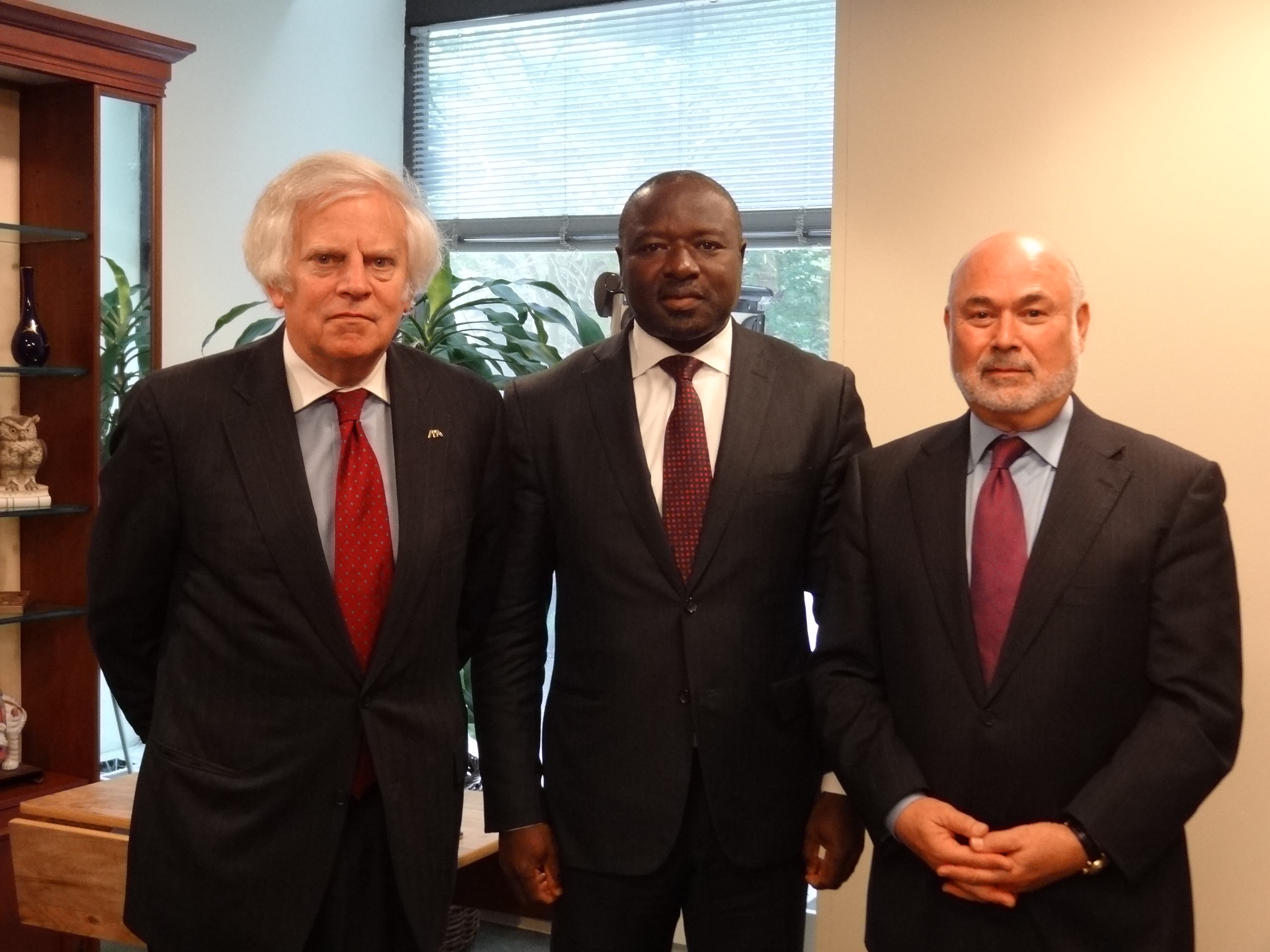 James Silkenat, Lassina Zerbo, Jonathan Granoff